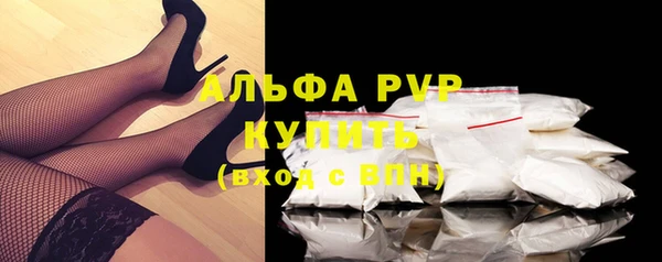 гашик Бородино
