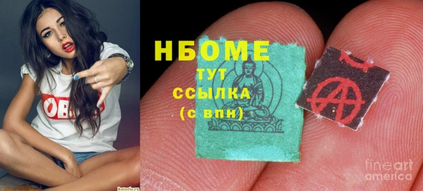 гашик Бородино