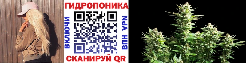 Бошки Шишки MAZAR  купить  цена  Тулун 